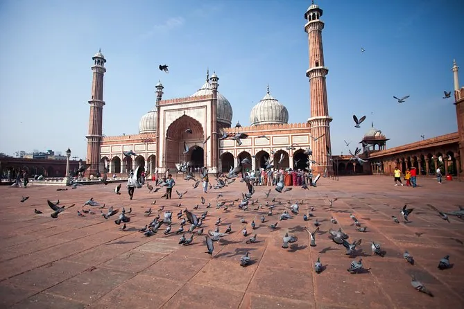Il cortile della Jama Masjid nella Vecchia Delhi con i piccioni in primo piano